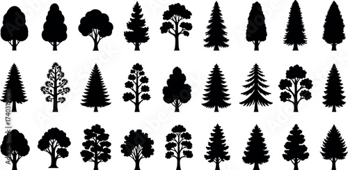 Collection of 25 unique tree silhouettes in various shapes and foliage styles for landscape design, botany reference, and vector art