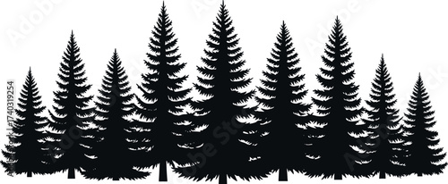 Silhouette forest of evergreen pine trees in wilderness landscape, natural woodland scene for outdoor nature, hiking, camping, and adventure themes