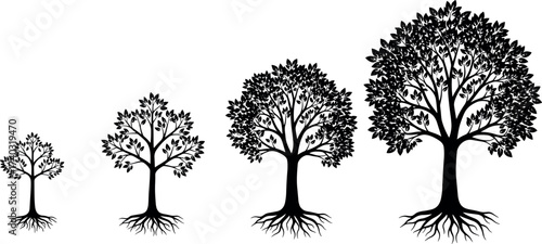 Growth stages of tree silhouette with roots, black vector illustration showing nature development, evolution, maturity, and environmental concept design