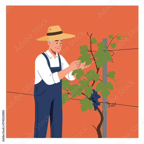 Man in straw hat and overalls tending to grapevines
