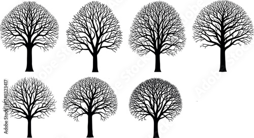 Set of Stylized Leafless Tree Silhouettes with Unique Branching Patterns for Nature, Botany, Dendrology, Winter, and Graphic Design Themes