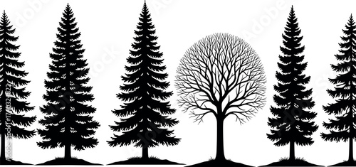 Silhouette forest tree icons set with pine and deciduous shapes, black isolated nature elements for landscape, environment, and design themes