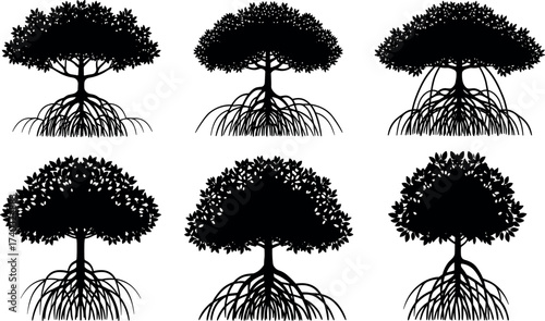 Silhouette mangrove trees with aerial roots and diverse canopy shapes isolated on white background for ecological, botanical, and environmental design use