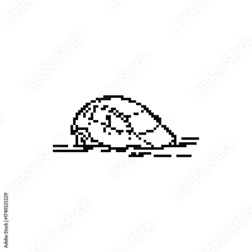 Pixelated turtle illustration in black and white vintage style artistic representation digital art