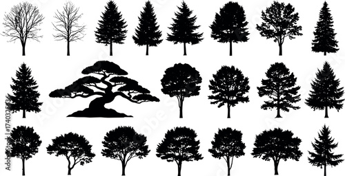 Silhouette Tree Collection Featuring Diverse Foliage Shapes, Leafless Winter Trees, Bonsai Style, Broadleaf Canopy, Coniferous Forest Elements for Design