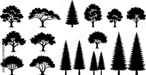 Silhouette tree collection with broadleaf and conifer shapes for forest, nature, landscape, botanical, and seasonal design illustration use