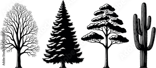 Silhouette Tree Set with Seasonal and Regional Diversity Including Deciduous, Coniferous, Tropical Canopy, and Desert Cactus Vector Illustration