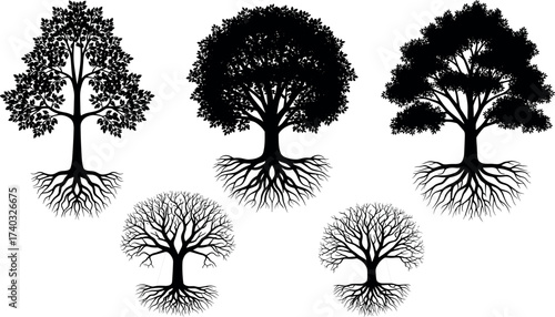 Stylized tree illustrations with visible roots, leafless and leafy variations, botanical concept art for nature, ecology, and growth themes.