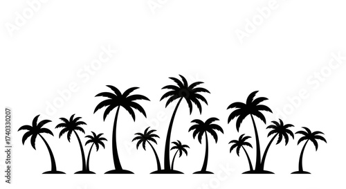 Silhouette of tropical palm trees on white background for summer design