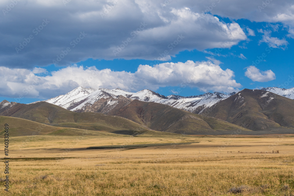 Fototapeta premium Nevada Desert Scrubland with Snow-Capped Mountains and Partly Cloudy Spring Sky