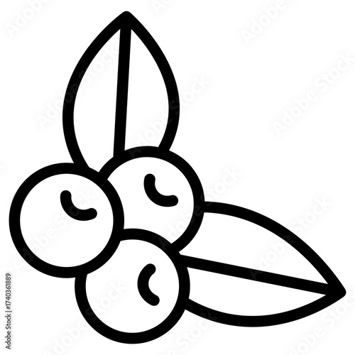 berry icon