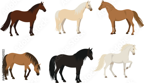 Collection of vector horses illustration, different horse breeds in various poses, colorful equestrian clipart, farm animals, domestic animals, wildlife art, stock design