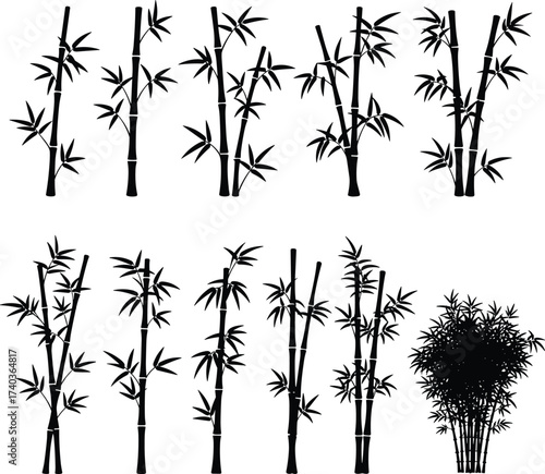 Bamboo plant silhouette vector illustration with tall stems, leafy branches, natural bamboo design for decoration, Asian style artwork, wallpaper, pattern, and botanical concept
