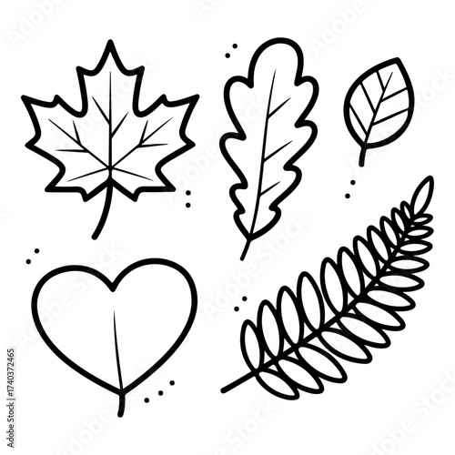 Simple minimal vector art line of various leaves doodle children's storybook style on transparent background.