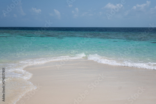 Tropical beach with curved wave on sandy shore