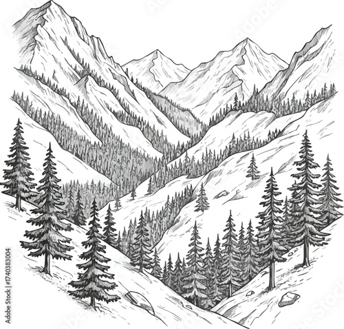 Detailed Mountain Valley Landscape Drawing with Evergreen Trees.