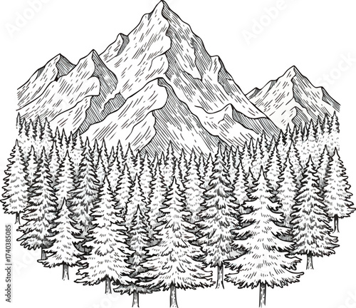 Majestic Mountain Range Overlooking a Dense Forest.