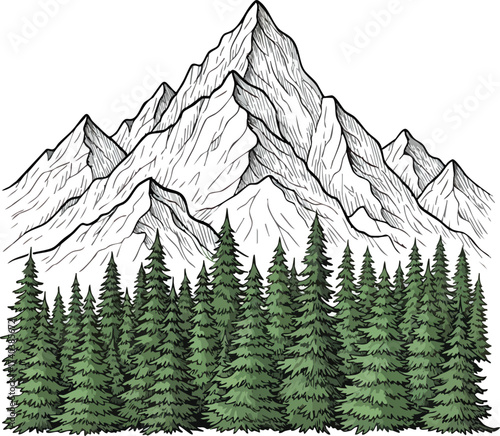 Majestic Mountain Range with Evergreen Forest Illustration 2.