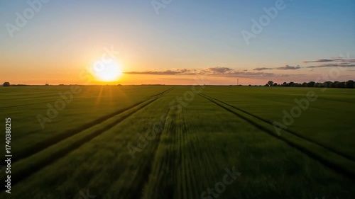 Golden hour in the countryside, mesmerizing sunset over golden wheat field landscape sunrise over the field