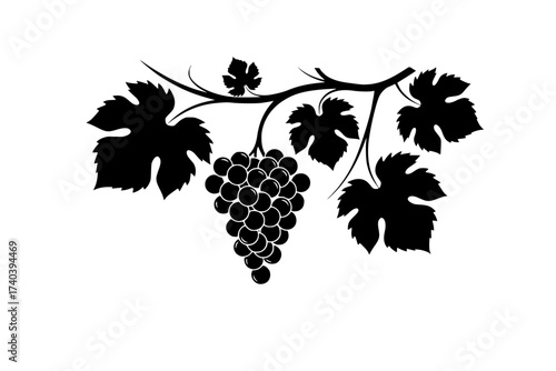 Black Vector Silhouette: Grapes and Vine (John 15)	