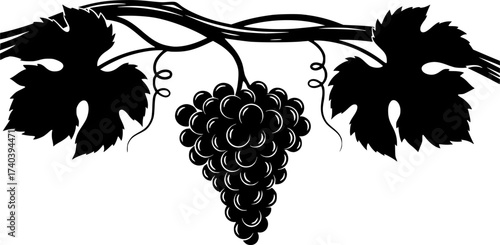 Black Vector Silhouette: Grapes and Vine (John 15)	