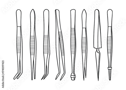 Assortment of Surgical Instruments: A detailed vector illustration of various forceps