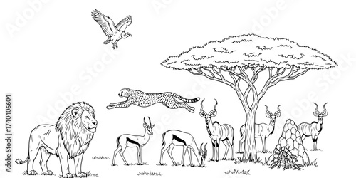 Detailed Safari Wildlife Sketch Vector Set: Lion, Cheetah, Antelope, Vulture, Acacia Tree, Termite Mound, and African Nature. Hand-Drawn Engraving Style Collection.

