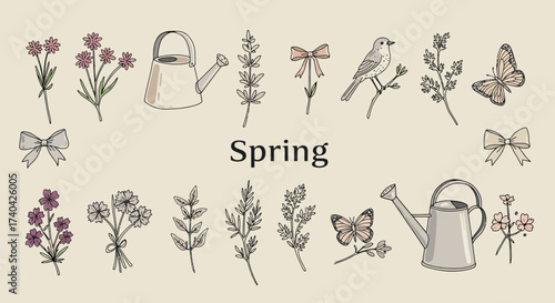 Charming spring themed botanical illustration with flowers, butterfly and watering can