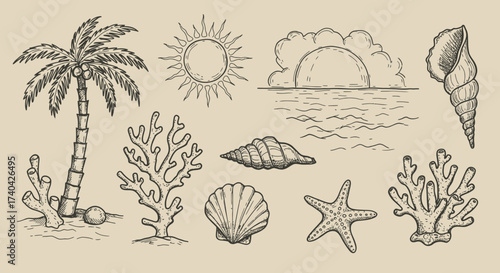 Hand-drawn tropical island illustration with palm tree, sun, and seashells elements