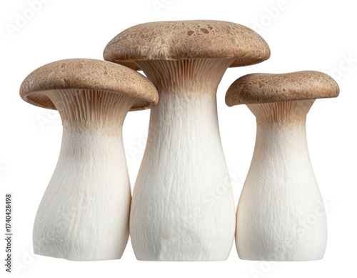 Three Stylized White Mushrooms Symbolizing Simplicity and Nature Isolated