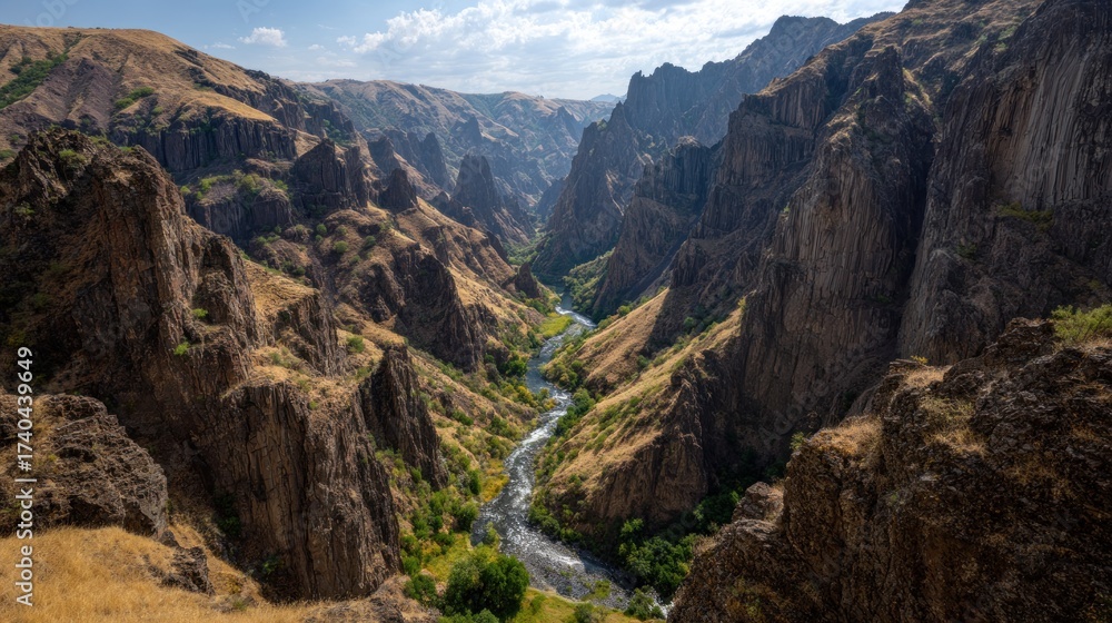 Fototapeta premium Scenic canyon landscape with a flowing river