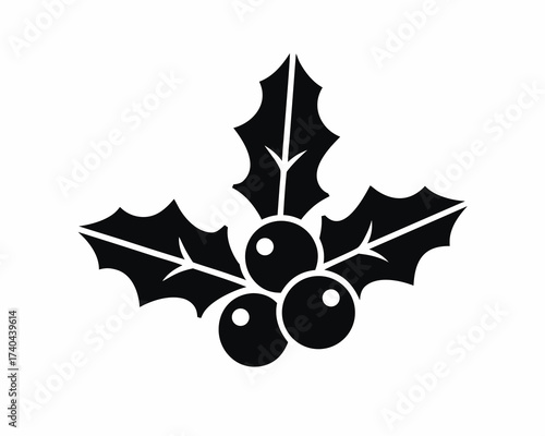Holly leaves and red berries icon , Christmas botanical element, isolated on white background