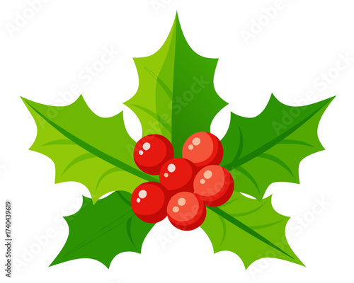 Holly leaves and red berries, Christmas botanical element, isolated on white background