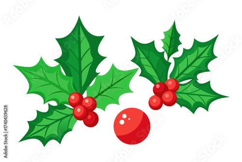 Holly leaves and red berries, Christmas botanical element, 