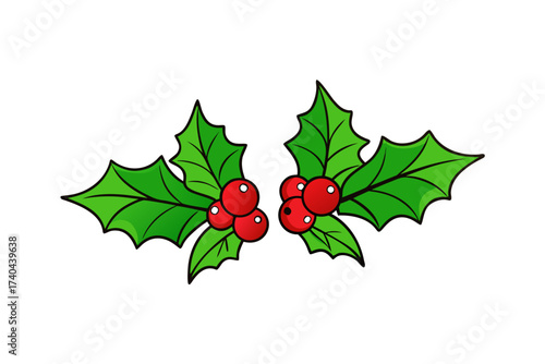 Holly leaves and red berries, Christmas botanical element, 