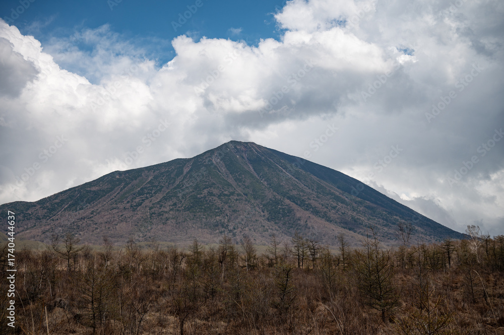 Fototapeta premium 冬の戦場ヶ原