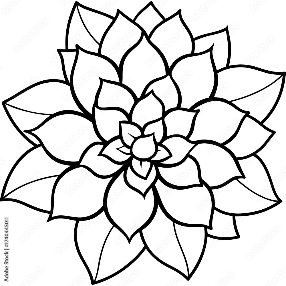 Obraz premium Floral Garden Bloom Outline Pattern Vector Illustration Isolated on White