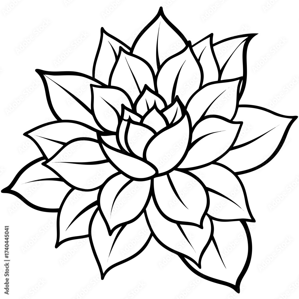 Fototapeta premium Floral Garden Bloom Outline Pattern Vector Illustration Isolated on White