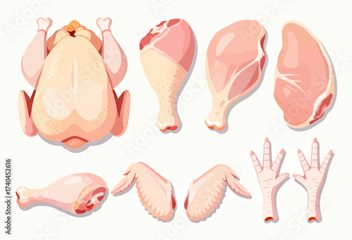The image is a collection of various chicken and chicken parts, such as wings, legs, and a whole chicken. The different parts are arranged in a way that showcases their unique shapes and sizes