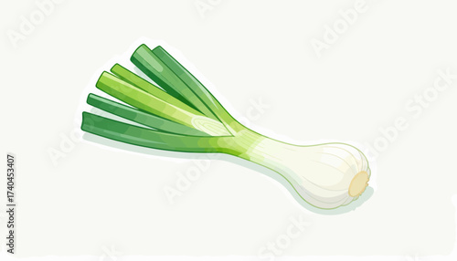 A green onion is sliced into four pieces. The onion is white and has a green stem. The image is of a white background