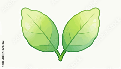 Two green leaves are shown on a white background. The leaves are large and have a vibrant green color. Concept of freshness and vitality, as if the leaves are full of life and energy