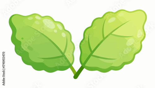 Two green leaves are shown in a white background. The leaves are large and have a lot of detail, including veins and a stem