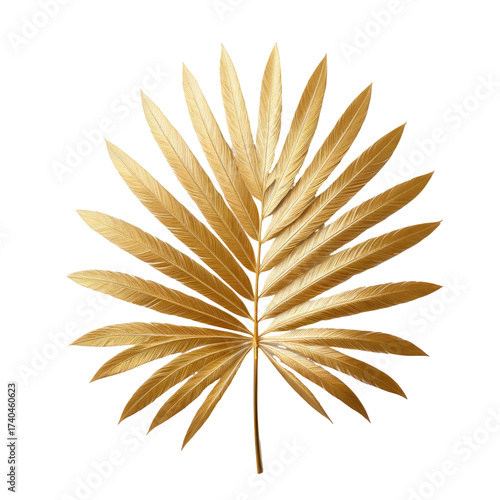 Gleaming golden fan palm frond, detailed texture, black background