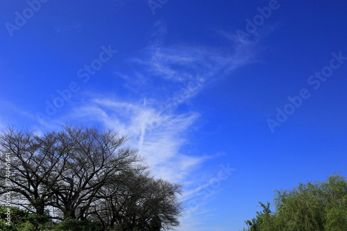 日本　埼玉の風景