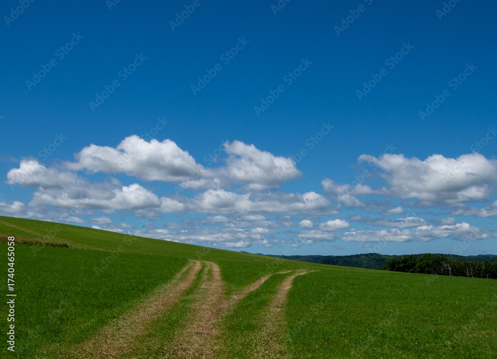 Fototapeta premium A meadow landscape spreading beneath the white clouds dotted