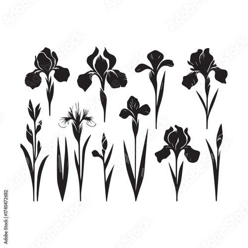 Assortment of Black Iris Flower Silhouettes with Leaves and Buds on White Background Keywords: iris, flower, silhouette, black, white background, floral, botanical, nature, plant, bloom, petal