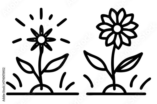 Two flowers growing in the garden in line art