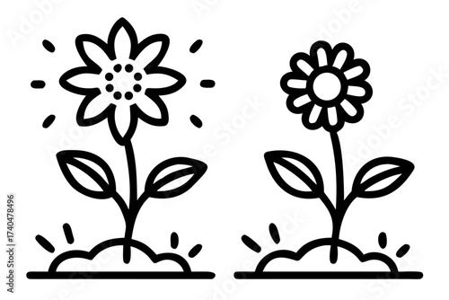 Two flowers growing in the garden in line drawing