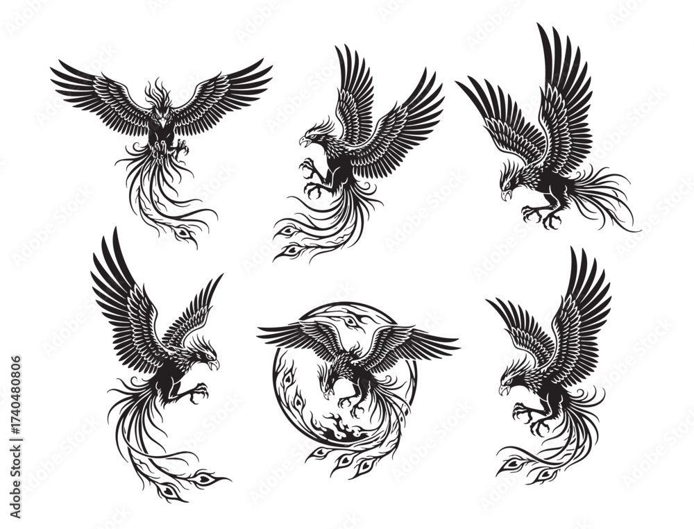 Obraz premium Dynamic black and white depictions of the mythical Phoenix bird in various powerful flight poses, symbolizing rebirth and fire.