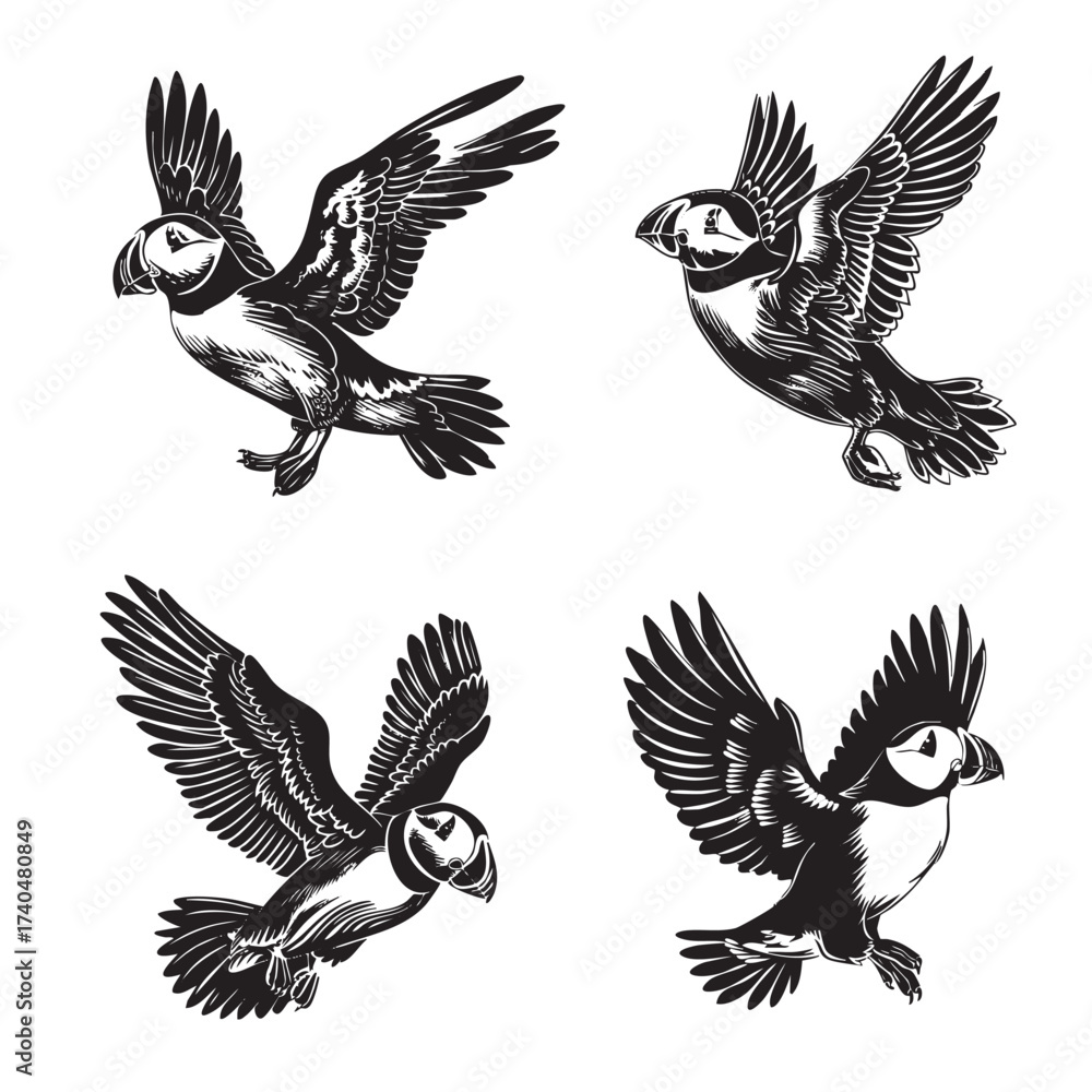 Fototapeta premium Four dynamic illustrations of the Puffin bird in various flight and landing poses, highlighting its colorful beak and unique look.